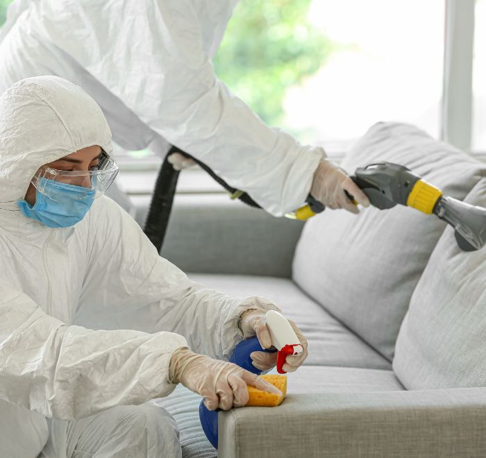 Professionelles Reinigungsteam bei der Polsterreinigung eines Sofas in einem modernen Wohnzimmer