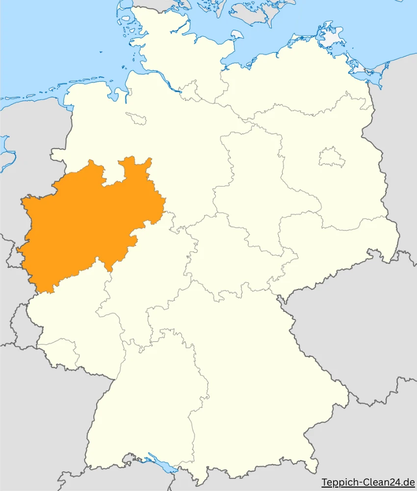 Teppich-Clean24-Einsatzgebiete